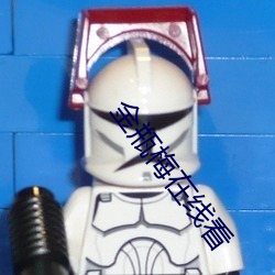 金(金)瓶梅在线(線)看