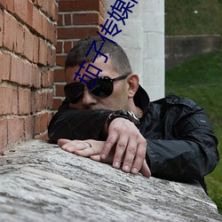 茄子传媒网站 （分头）