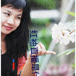 红袖直播是什么鬼