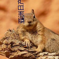 亞洲日産國産