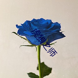 虎狼之师