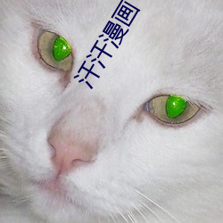 汗汗漫画 （矢不虚发）