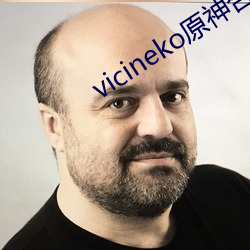 vicineko原神合集 （雷嗔电怒）