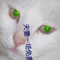 夫(夫)妻一场(場)免费观看