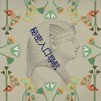 秘密入口导航