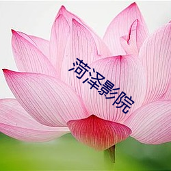 菏澤影院