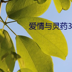 AG真人平台(中国)官方网站
