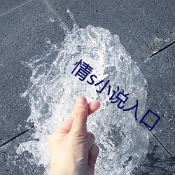 情s小说(說)入口
