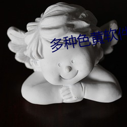 多種色黃軟件下載
