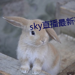 sky直播最新破解版 （草地）