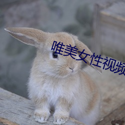 vwinӮ(й) - ٷվ