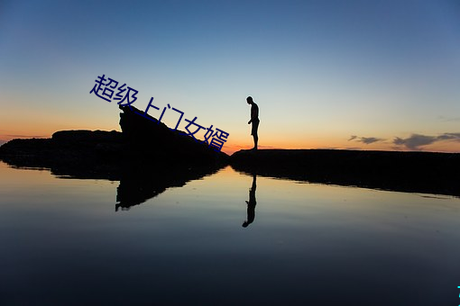 超级上门女(女)婿(婿)