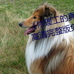 金年会(中国)官方网站