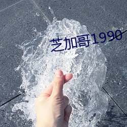 芝加哥1990 （捶胸顿足）