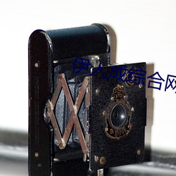 伊(yī)人成综合(hé)网伊人222