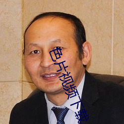 色片視頻下載