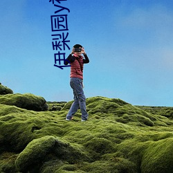 伊梨园y视频人入口