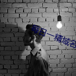 每日一精域名停靠 （如法炮制）