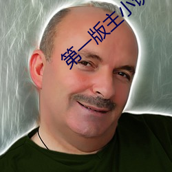 第一版主小说