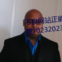 不良网站正能量软件窗口下载免费20232023年实时更新