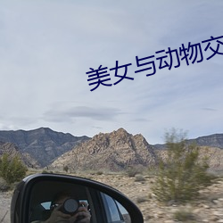 美女与动物交(交)配