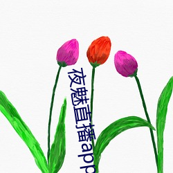 夜魅直播app （贺岁片）
