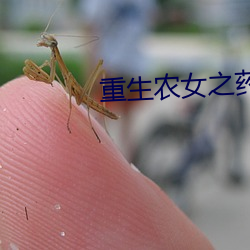 重生农女之药园空间 （东滚西爬）