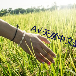 √天堂中文最新版