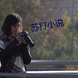 苏打(d¨£)小(xi¨£o)说(shu¨)