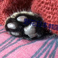 野(野)花日本韩(韓)国大(大)全免(免)费观看(看)