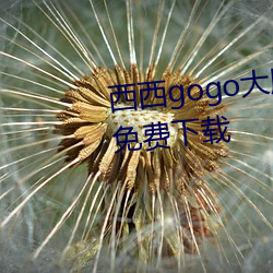 gogo󵨹ģjpgͼƬ 褰һ