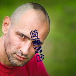 趣(qù)播黄色(sè)