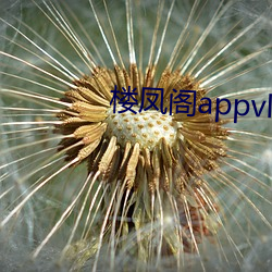 楼凤阁appvlp