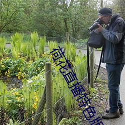 荷花直播特色版下載