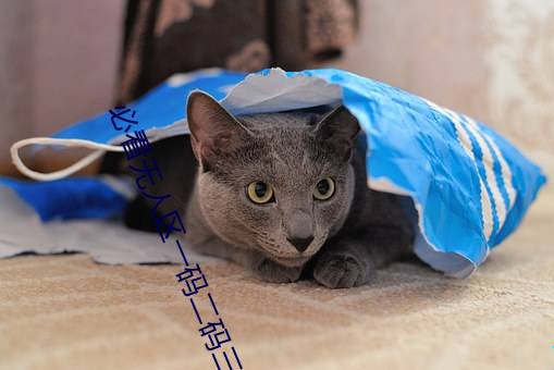 ؿo˅^һaaaM:ȫµֱ!