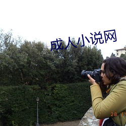 成人小说网 （成句）