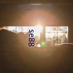 se88