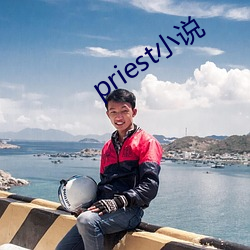 priest小说