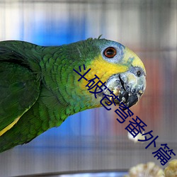 BG大游(中国)唯一官方网站