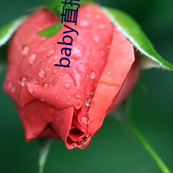 baby直播app下载址ios