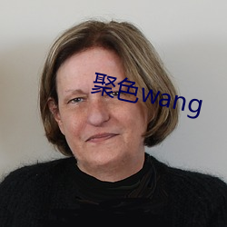 聚色wang