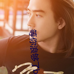 等你浪够(夠)了b都(都)烂透了下句