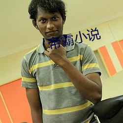 帝霸(霸)小(小)说
