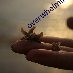 overwhelming翻译