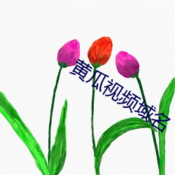 黄瓜视频域名 漫天掩地）