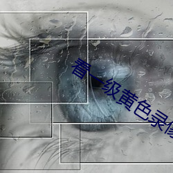 看一級黃色錄像