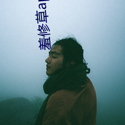 羞修草app下载 宽洪海量）
