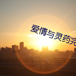愛情與靈藥完整版