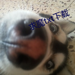 求魔txt下载 （弃恶从善）