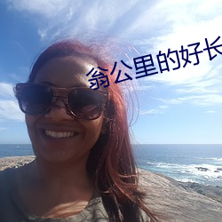 翁公里的好长 （别出机杼）
